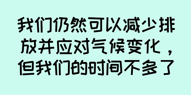 我们仍然可以减少排放并应对气候变化，但我们的时间不多了