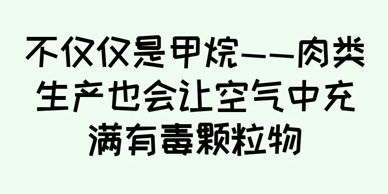 不仅仅是甲烷——肉类生产也会让空气中充满有毒颗粒物