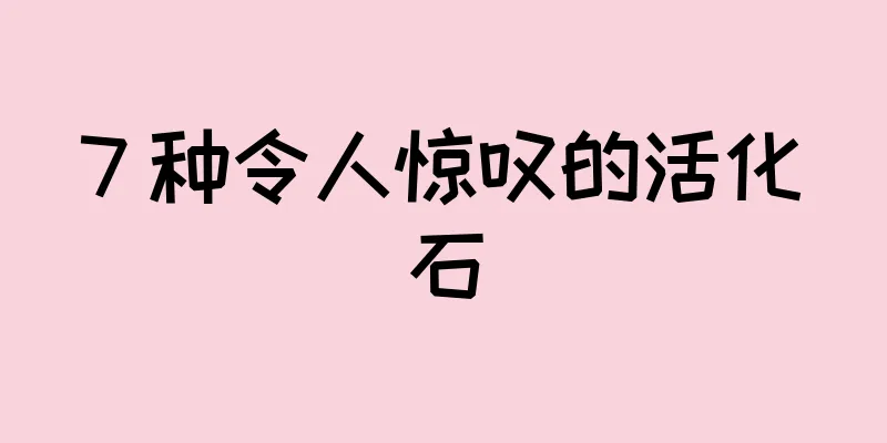 7 种令人惊叹的活化石