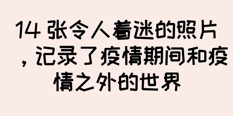 14 张令人着迷的照片，记录了疫情期间和疫情之外的世界