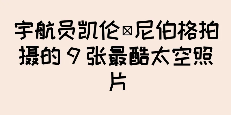宇航员凯伦·尼伯格拍摄的 9 张最酷太空照片