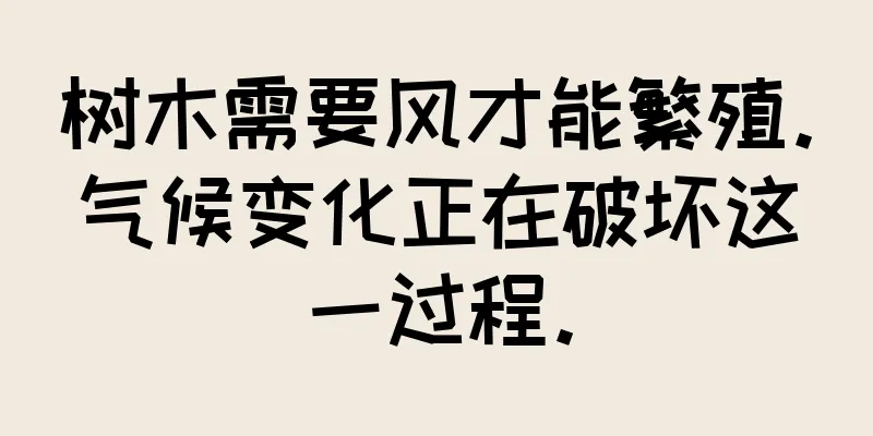 树木需要风才能繁殖。气候变化正在破坏这一过程。