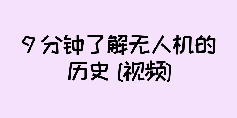 9 分钟了解无人机的历史 [视频]