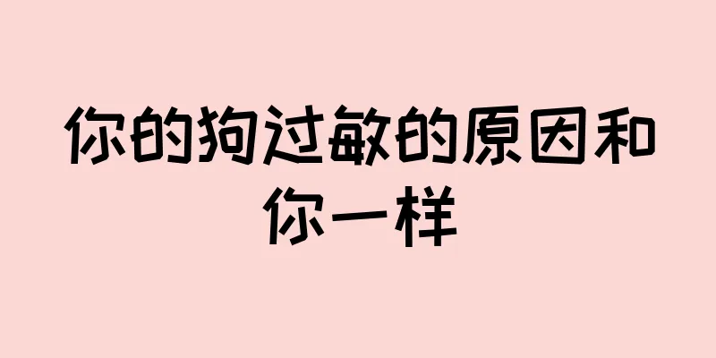 你的狗过敏的原因和你一样