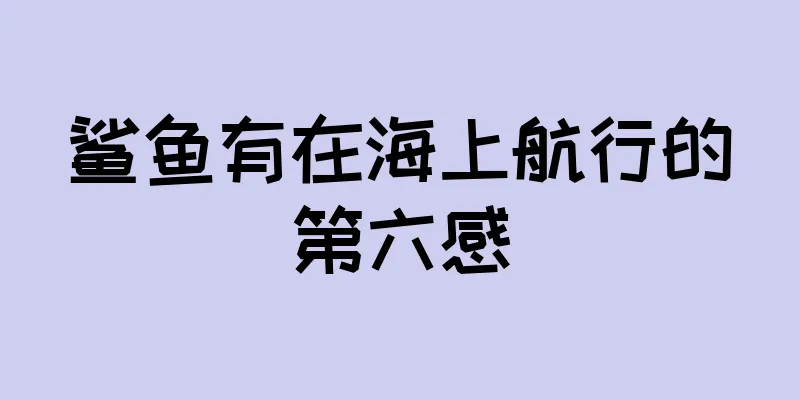 鲨鱼有在海上航行的第六感