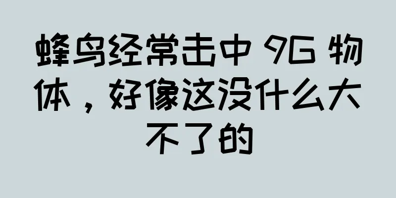 蜂鸟经常击中 9G 物体，好像这没什么大不了的