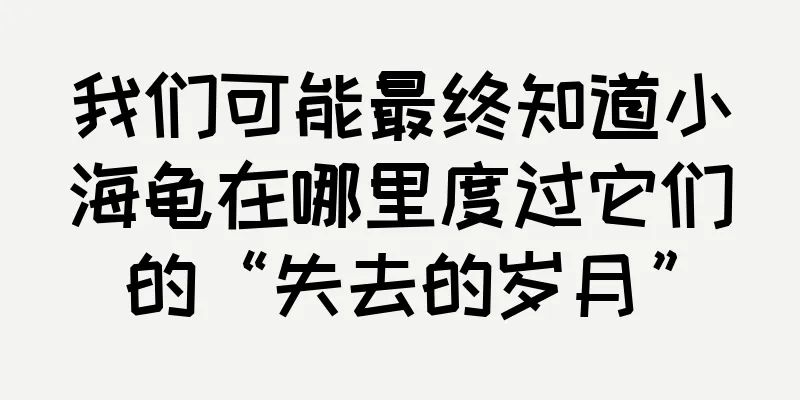我们可能最终知道小海龟在哪里度过它们的“失去的岁月”