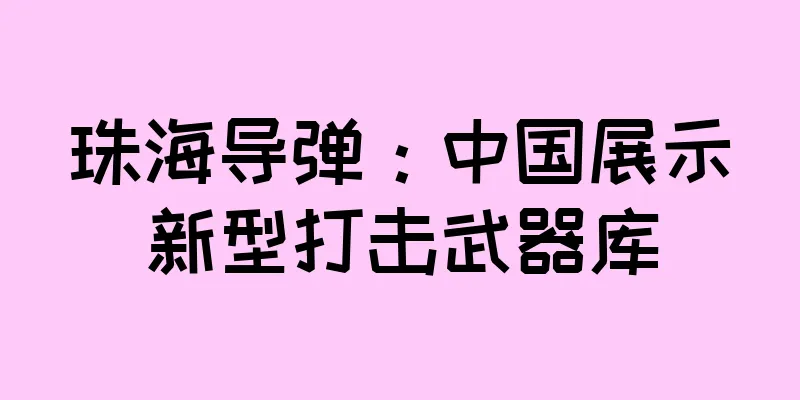 珠海导弹：中国展示新型打击武器库