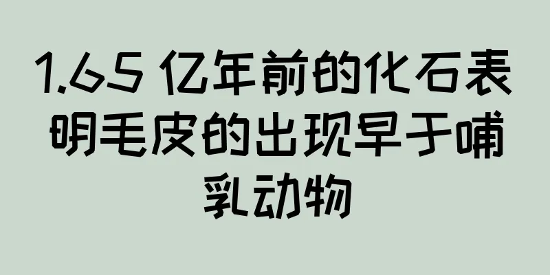 1.65 亿年前的化石表明毛皮的出现早于哺乳动物