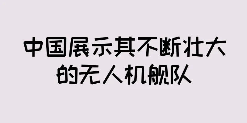 中国展示其不断壮大的无人机舰队