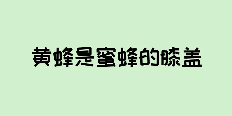 黄蜂是蜜蜂的膝盖