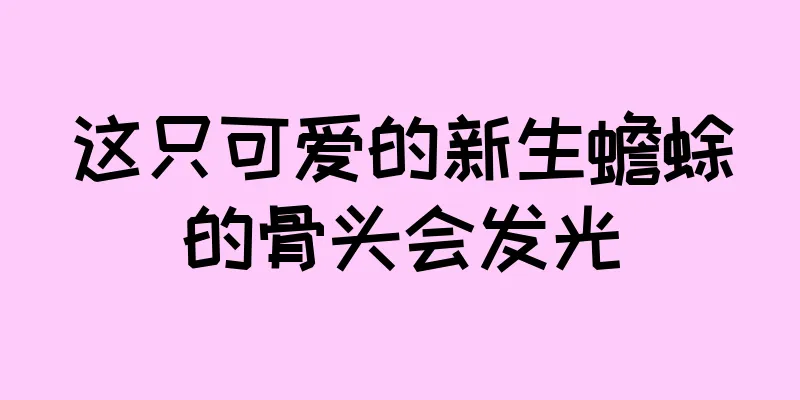 这只可爱的新生蟾蜍的骨头会发光