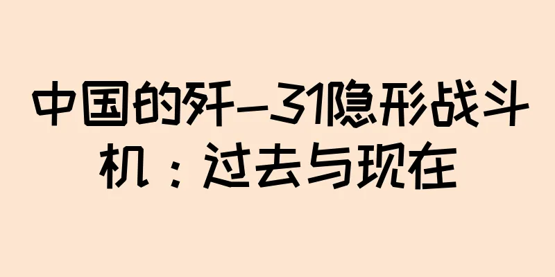 中国的歼-31隐形战斗机：过去与现在
