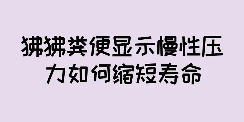 狒狒粪便显示慢性压力如何缩短寿命