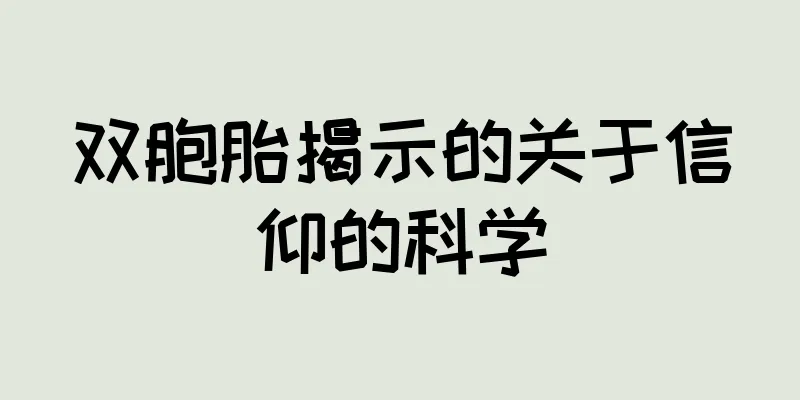 双胞胎揭示的关于信仰的科学
