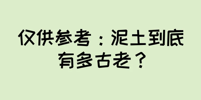 仅供参考：泥土到底有多古老？