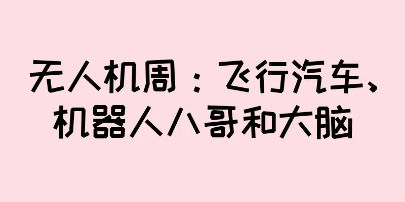 无人机周：飞行汽车、机器人八哥和大脑