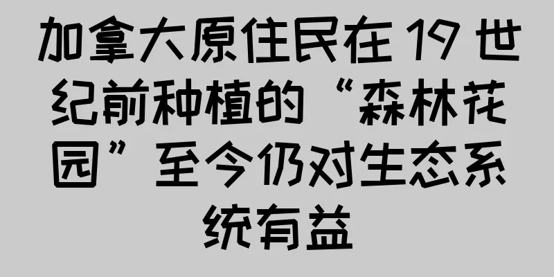 加拿大原住民在 19 世纪前种植的“森林花园”至今仍对生态系统有益