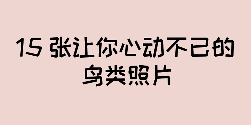 15 张让你心动不已的鸟类照片