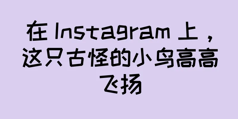 在 Instagram 上，这只古怪的小鸟高高飞扬