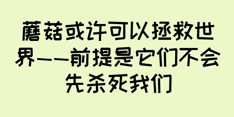 蘑菇或许可以拯救世界——前提是它们不会先杀死我们