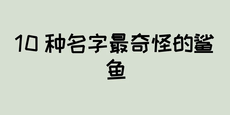 10 种名字最奇怪的鲨鱼