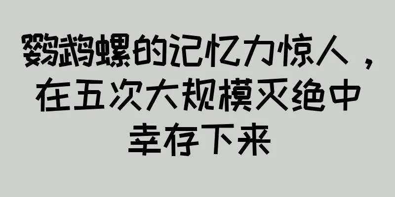 鹦鹉螺的记忆力惊人，在五次大规模灭绝中幸存下来
