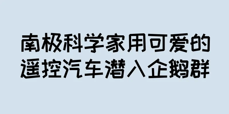 南极科学家用可爱的遥控汽车潜入企鹅群