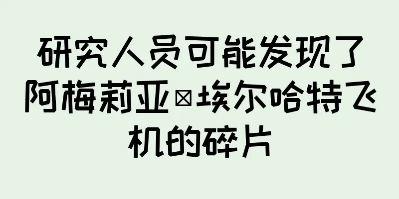 研究人员可能发现了阿梅莉亚·埃尔哈特飞机的碎片