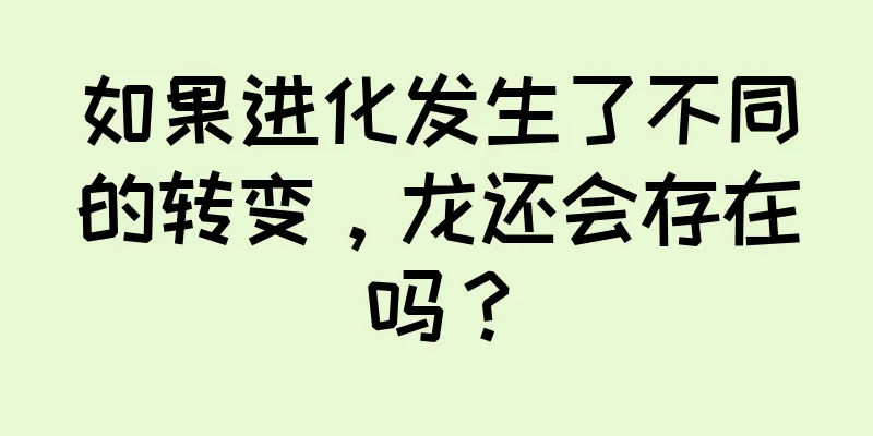如果进化发生了不同的转变，龙还会存在吗？