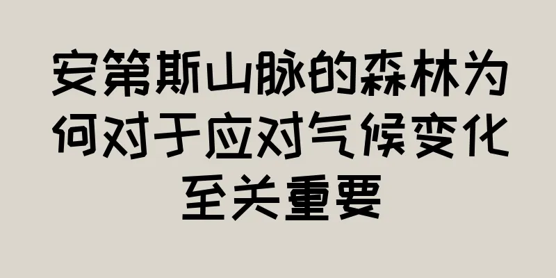 安第斯山脉的森林为何对于应对气候变化至关重要