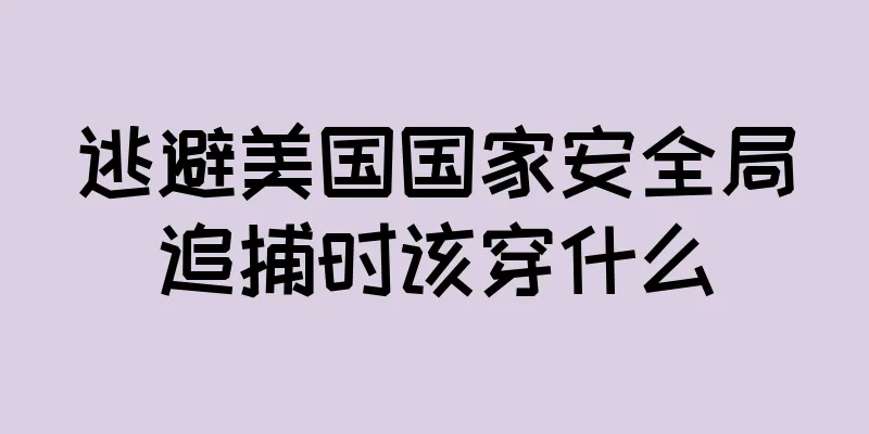 逃避美国国家安全局追捕时该穿什么