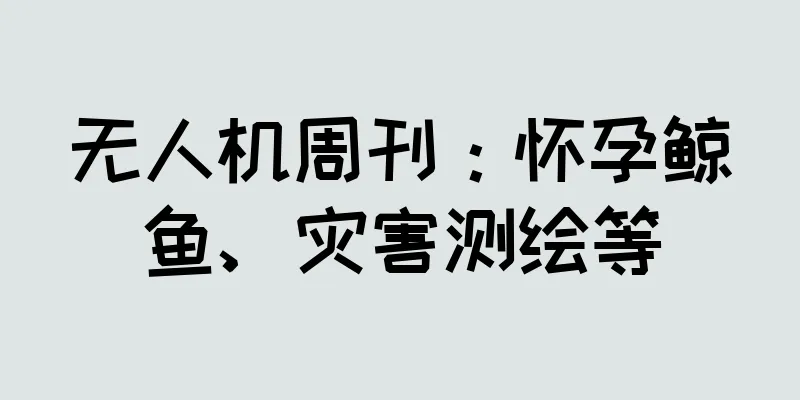 无人机周刊：怀孕鲸鱼、灾害测绘等