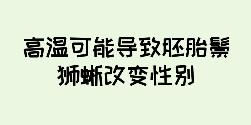 高温可能导致胚胎鬃狮蜥改变性别