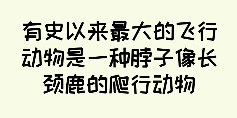 有史以来最大的飞行动物是一种脖子像长颈鹿的爬行动物
