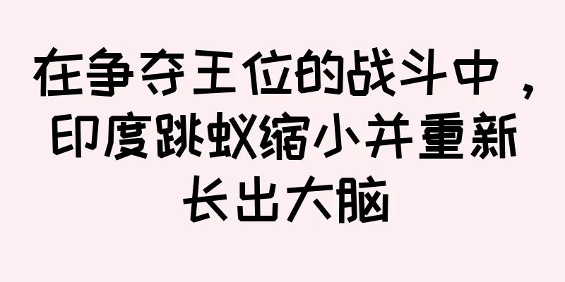 在争夺王位的战斗中，印度跳蚁缩小并重新长出大脑