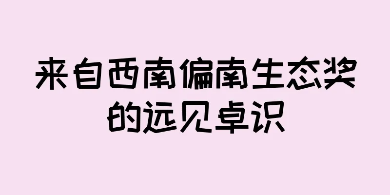 来自西南偏南生态奖的远见卓识