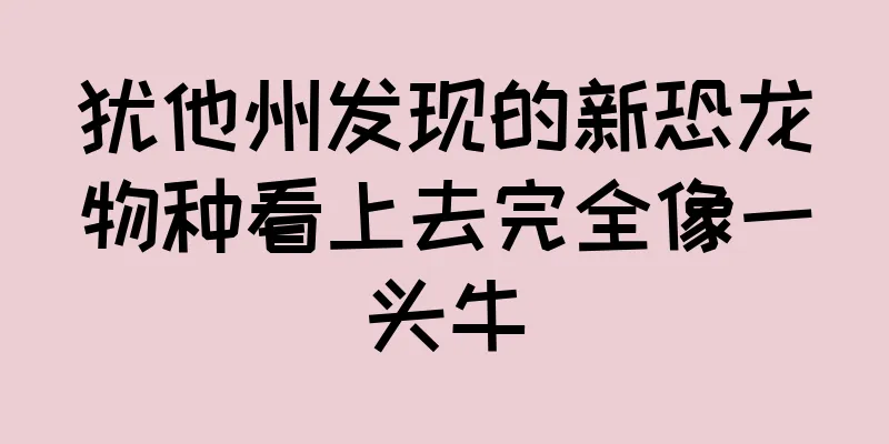 犹他州发现的新恐龙物种看上去完全像一头牛