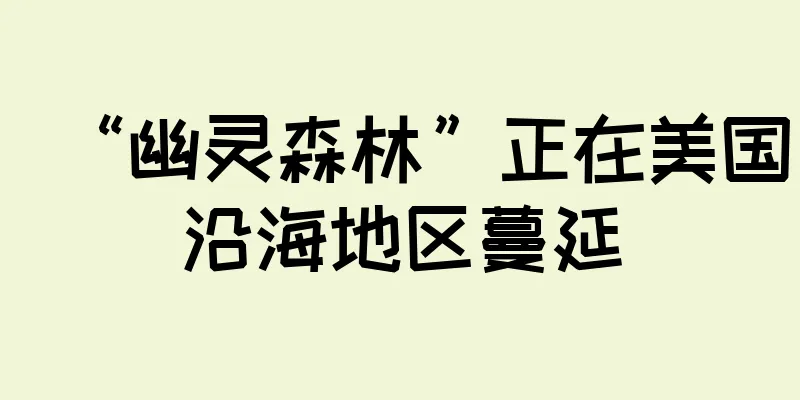 “幽灵森林”正在美国沿海地区蔓延