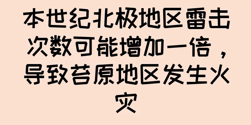 本世纪北极地区雷击次数可能增加一倍，导致苔原地区发生火灾