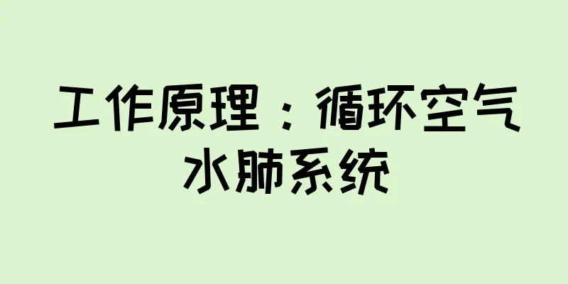工作原理：循环空气水肺系统