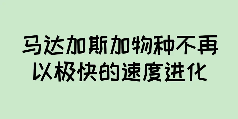 马达加斯加物种不再以极快的速度进化