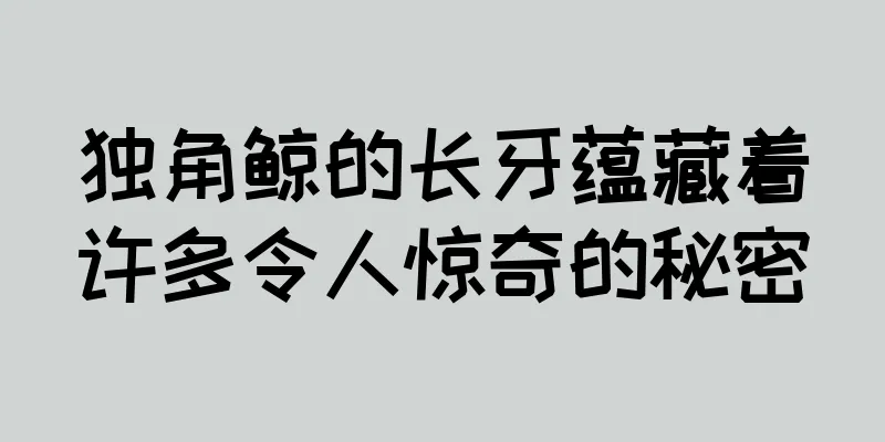 独角鲸的长牙蕴藏着许多令人惊奇的秘密