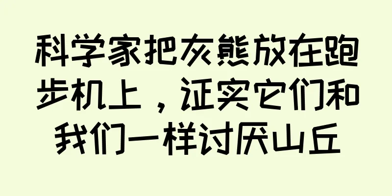 科学家把灰熊放在跑步机上，证实它们和我们一样讨厌山丘
