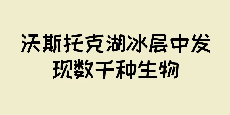 沃斯托克湖冰层中发现数千种生物