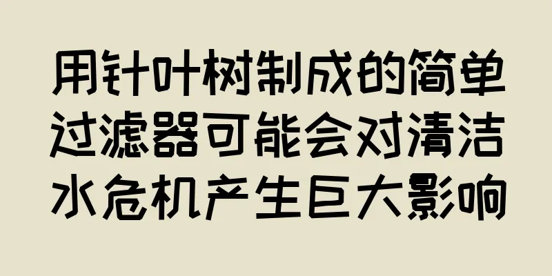 用针叶树制成的简单过滤器可能会对清洁水危机产生巨大影响
