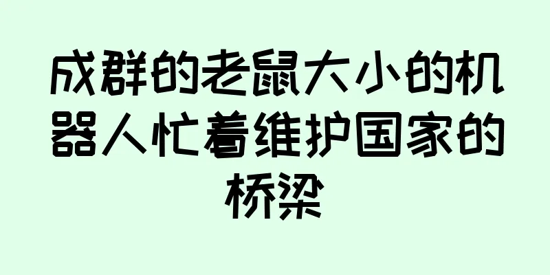 成群的老鼠大小的机器人忙着维护国家的桥梁