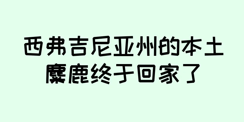 西弗吉尼亚州的本土麋鹿终于回家了