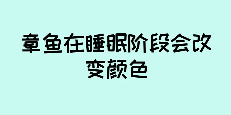 章鱼在睡眠阶段会改变颜色