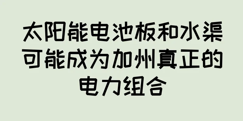 太阳能电池板和水渠可能成为加州真正的电力组合